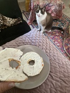 Bagels1
